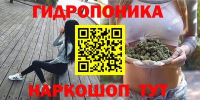 СК Нальчик